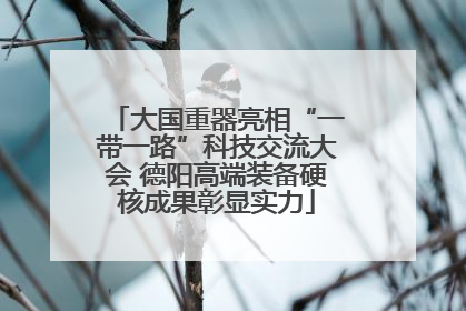 大国重器亮相“一带一路”科技交流大会 德阳高端装备硬核成果彰显实力
