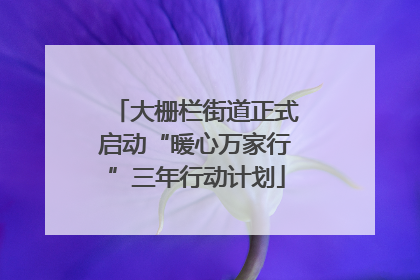 大栅栏街道正式启动“暖心万家行”三年行动计划