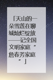天山的一朵雪莲在聊城灿烂绽放——记全国文明家庭“詹春芳家庭”