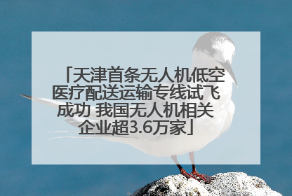 天津首条无人机低空医疗配送运输专线试飞成功 我国无人机相关企业超3.6万家