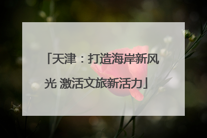 天津：打造海岸新风光 激活文旅新活力