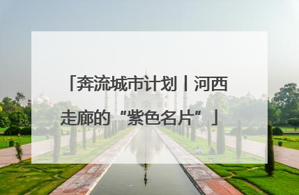 奔流城市计划丨河西走廊的“紫色名片”