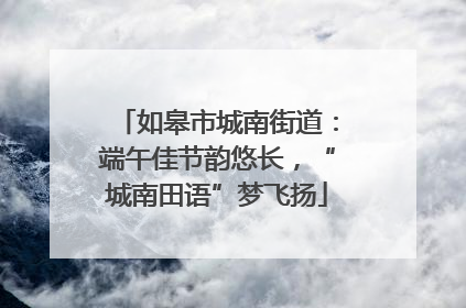 如皋市城南街道：端午佳节韵悠长，“城南田语”梦飞扬