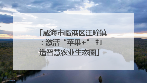 威海市临港区汪疃镇：激活“苹果+” 打造智慧农业生态圈