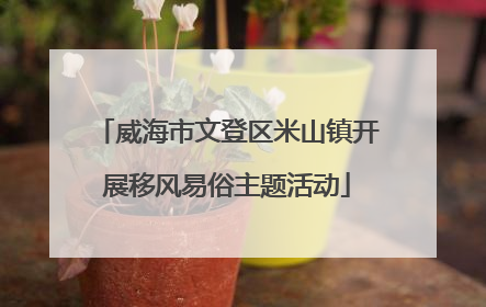 威海市文登区米山镇开展移风易俗主题活动