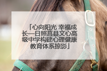 心向阳光 幸福成长—日照莒县文心高级中学构建心理健康教育体系掠影