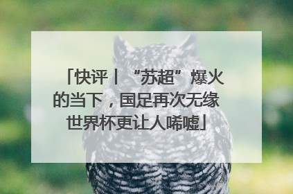 快评丨“苏超”爆火的当下，国足再次无缘世界杯更让人唏嘘