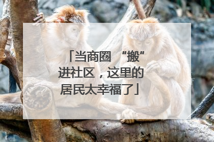 当商圈 “搬” 进社区，这里的居民太幸福了