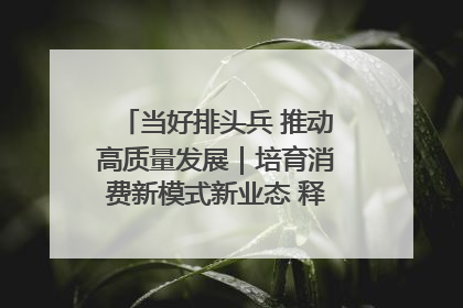 当好排头兵 推动高质量发展｜培育消费新模式新业态 释放经济增长新动能