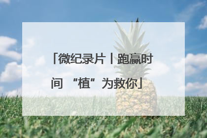 微纪录片丨跑赢时间 “植”为救你