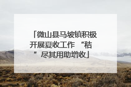 微山县马坡镇积极开展夏收工作 “秸”尽其用助增收