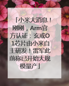 小米大消息！刚刚，Arm官方认证：玄戒O1芯片由小米自主研发！雷军此前称已开始大规模量产