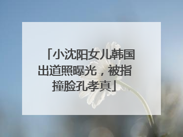小沈阳女儿韩国出道照曝光，被指撞脸孔孝真