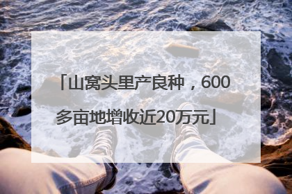 山窝头里产良种，600多亩地增收近20万元