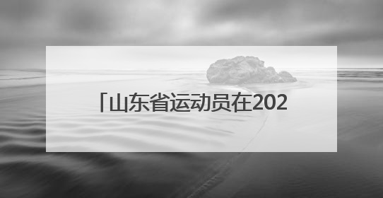 山东省运动员在2025年全国残疾人羽毛球锦标赛暨东京聋奥会选拔赛中斩获3银1铜