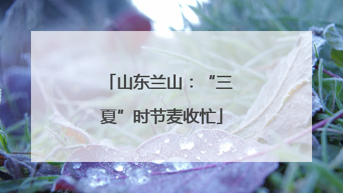 山东兰山：“三夏”时节麦收忙