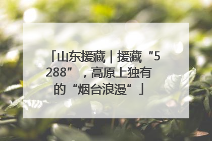 山东援藏｜援藏“5288”，高原上独有的“烟台浪漫”