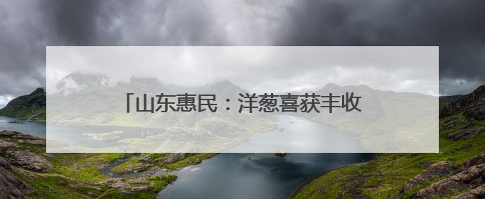 山东惠民：洋葱喜获丰收 鼓起农户“钱袋子”