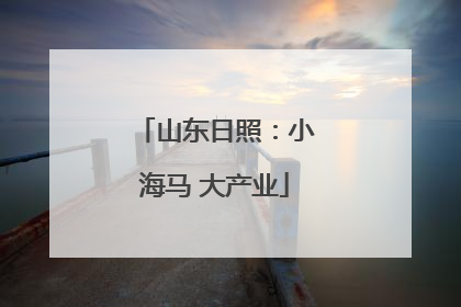 山东日照：小海马 大产业