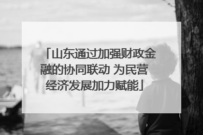 山东通过加强财政金融的协同联动 为民营经济发展加力赋能