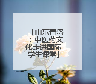山东青岛：中医药文化走进国际学生课堂
