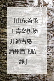 山东首条！青岛机场开通青岛=清州直飞航线