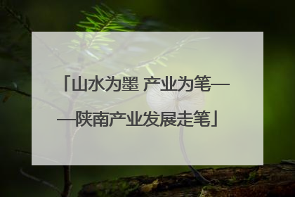 山水为墨 产业为笔——陕南产业发展走笔