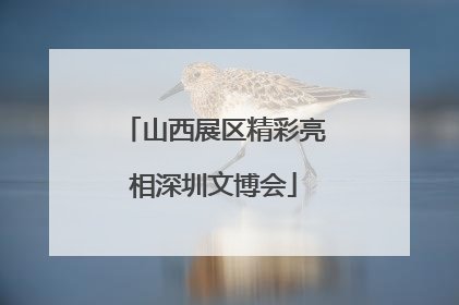 山西展区精彩亮相深圳文博会