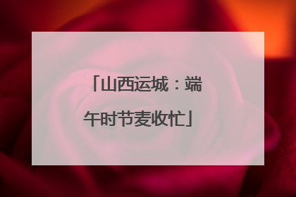 山西运城：端午时节麦收忙