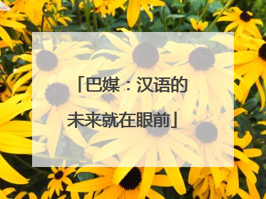 巴媒：汉语的未来就在眼前