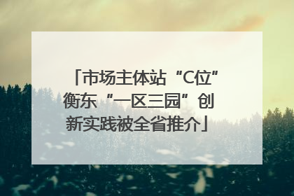 市场主体站“C位” 衡东“一区三园”创新实践被全省推介
