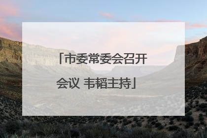 市委常委会召开会议 韦韬主持