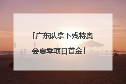广东队拿下残特奥会夏季项目首金