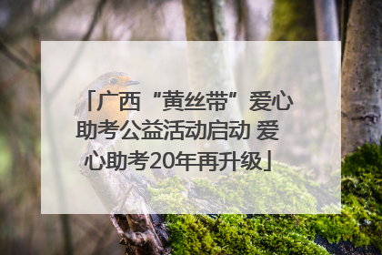 广西“黄丝带”爱心助考公益活动启动 爱心助考20年再升级