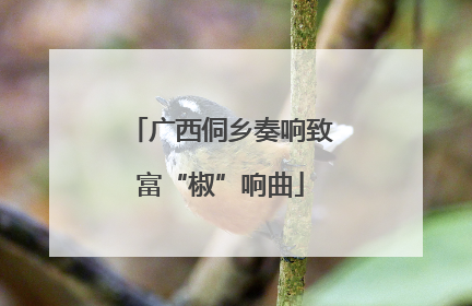 广西侗乡奏响致富“椒”响曲
