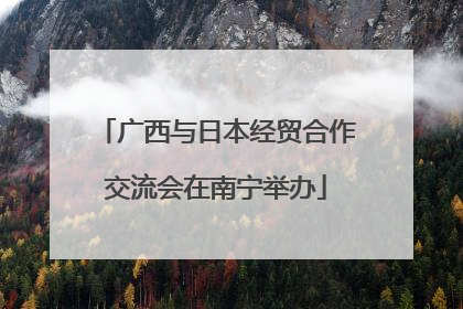 广西与日本经贸合作交流会在南宁举办