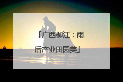 广西柳江：雨后产业田园美