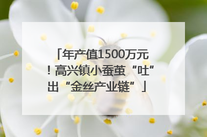 年产值1500万元！高兴镇小蚕茧“吐”出“金丝产业链”