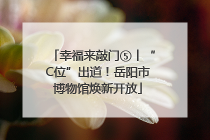 幸福来敲门⑤丨“C位”出道！岳阳市博物馆焕新开放