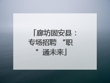 廊坊固安县：专场招聘 “职”通未来