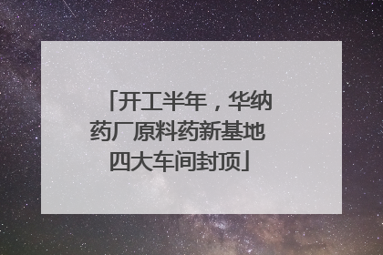 开工半年，华纳药厂原料药新基地四大车间封顶