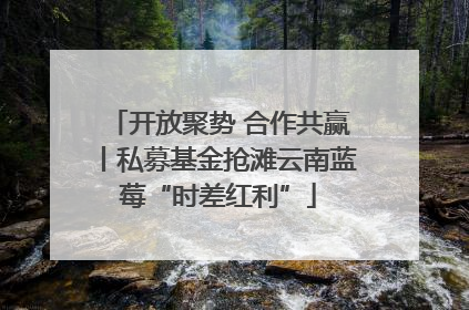 开放聚势 合作共赢丨私募基金抢滩云南蓝莓“时差红利”