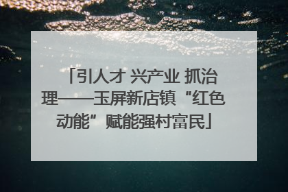 引人才 兴产业 抓治理——玉屏新店镇“红色动能”赋能强村富民