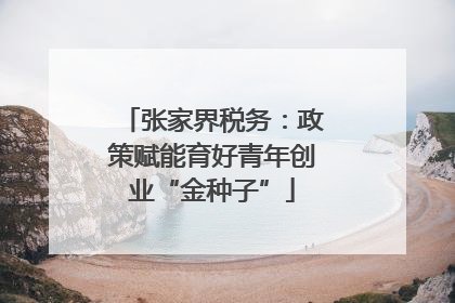 张家界税务：政策赋能育好青年创业“金种子”