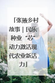 张掖乡村故事｜民乐种业“芯”动力激活现代农业新活力