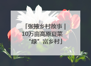 张掖乡村故事｜10万亩高原夏菜“绿”富乡村