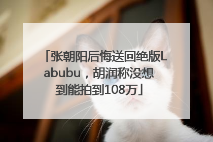 张朝阳后悔送回绝版Labubu，胡润称没想到能拍到108万