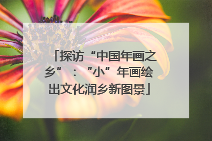 探访“中国年画之乡”：“小”年画绘出文化润乡新图景