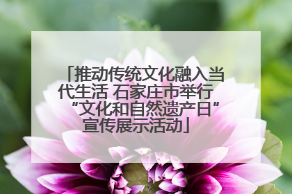 推动传统文化融入当代生活 石家庄市举行“文化和自然遗产日”宣传展示活动