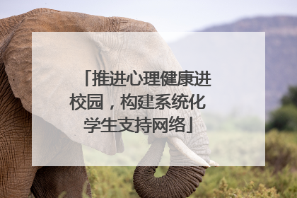 推进心理健康进校园，构建系统化学生支持网络